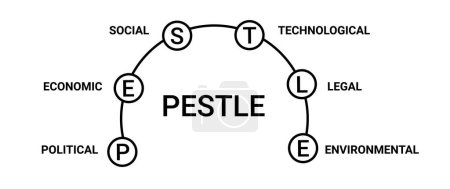 Pestle curve diagram. Information marketing with management organization and political market with technological and social vector structure