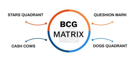 Bcg-Matrixdiagramm. Entwicklung und Produktentwicklung mit Management Marketing und Marktdiversifizierung Wachstumsprozessvektormodell
