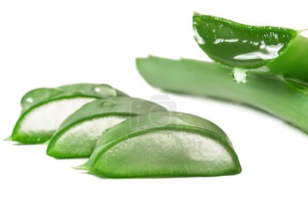 Photo for Aloe vera fresh slices and leaves isolated on white background - Royalty Free Image