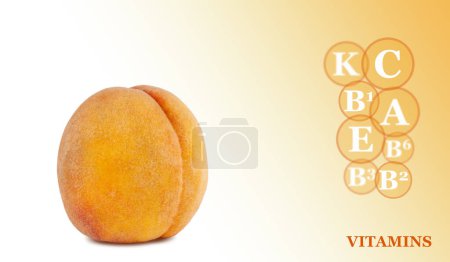 Photo for Ripe sweet peach  isolated on color gradient background with marking of vitamins found in peach - Royalty Free Image