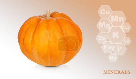 Photo for Pumpkin isolated on a colored gradient background with markings of minerals found in pumpkins - Royalty Free Image
