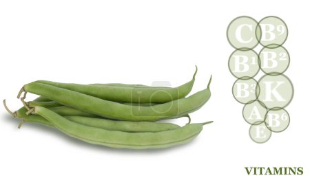 Photo for Fresh ripe green bean pods isolated on white background with marking of vitamins found in green bean - Royalty Free Image