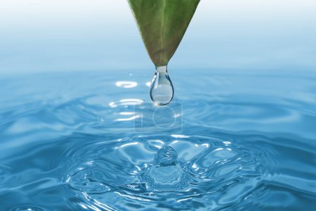 Photo for A water droplet falling from green leaf into a tranquil body of water, creating ripples and splashes - Royalty Free Image