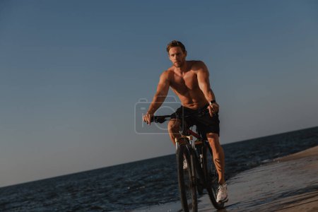 Téléchargez les photos : Beau jeune homme torse nu profitant tôt le matin bord de mer tout en faisant du vélo bord de mer - en image libre de droit
