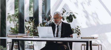 Foto de Confiado hombre de negocios maduro utilizando la computadora mientras trabaja en la oficina moderna - Imagen libre de derechos