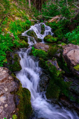 Strawberry Creek cascade sur les rochers dans la nature sauvage de l'Oregon alors que l'eau propre et froide rafraîchit la région après des mois de sécheresse.