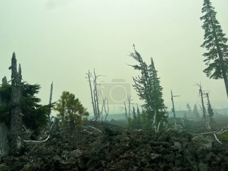 Téléchargez les photos : Une fumée épaisse et un indice de qualité de l'air élevé en raison des multiples feux de forêt qui brûlent dans le centre de l'Oregon rendent le ciel brumeux et sombre. - en image libre de droit