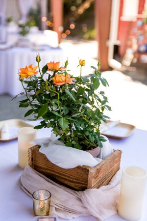 Foto de Flores de boda en una mesa para una cena de recepción. - Imagen libre de derechos