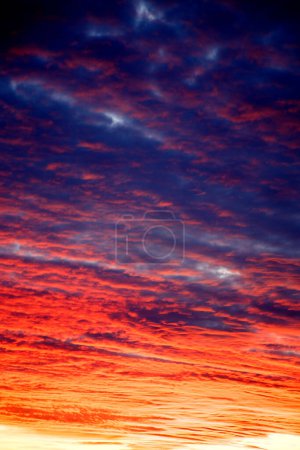 Photo for Gloomy dramatic clouds at sunset. Beautiful ultramarine clouds at sunset in the park. The concept of nature, storm, disaster. - Royalty Free Image