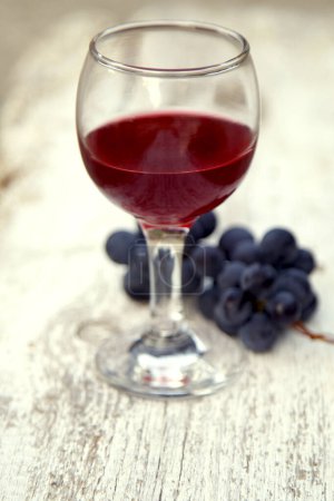 Foto de Copa con vino tinto y un ramo de uvas en el jardín. Vino tinto en una copa y un ramo de uvas. - Imagen libre de derechos