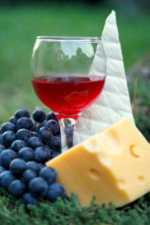 Foto de Una copa de vino tinto en una copa de uvas y queso. Composición de queso de vino tinto y racimo de uva en el jardín. - Imagen libre de derechos