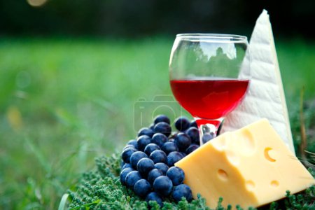 Photo for A glass of red wine in a glass of grapes and cheese. Composition of red wine cheese and grape bunch in the garden. - Royalty Free Image
