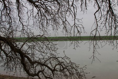 Téléchargez les photos : Aliki lac nature vue panoramique - en image libre de droit