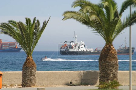Téléchargez les photos : Palm trees at Limassol - en image libre de droit