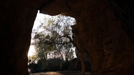 Foto de Vista panorámica de la entrada del árbol de cerca de la cueva de Pafos, Grecia - Imagen libre de derechos