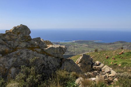 Téléchargez les photos : Péninsule d'Akamas depuis Paphos, Chypre, vue aérienne sur la côte, plage sauvage, paysage jaune, lagune bleue, attraction touristique populaire - en image libre de droit