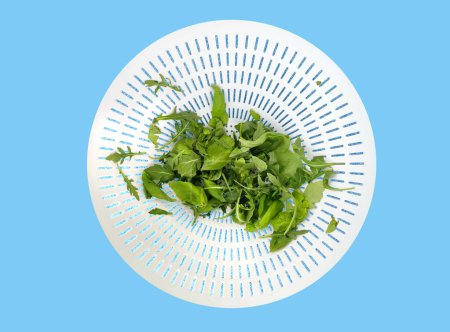Herb leaves in salad, healthy vegetarian food in a bowl in the kitchen