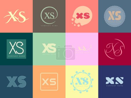 XS logo company template. Letter x and s logotype. Set different classic serif lettering and modern bold text with design elements. Initial font typography.
