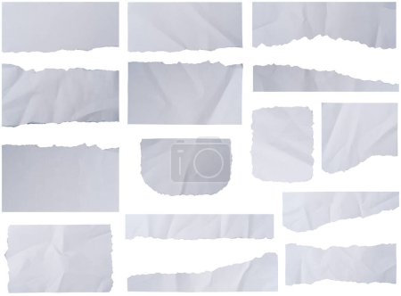 Photo for Set of white ripped paper strips collection. Paper scraps with torn edges. Sticky notes, shreds of notebook pages. isolated on white background with Clipping paths for design work empty free space - Royalty Free Image