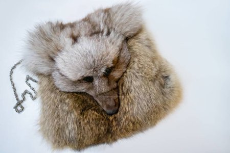 Téléchargez les photos : Fourrure de renard et sac à main avec de la vraie fourrure exposée dans une boutique. un sac en forme de museau de renard - en image libre de droit