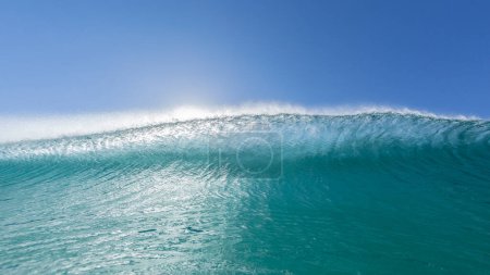 Foto de Wave swimming closeup face to face encounter of  tropical summer ocean blue waters sea wall sun backlit upright ready to crash towards water camera  lens. - Imagen libre de derechos