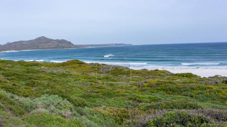 Foto de Playa costa vegetación con vistas panorámicas Océano Atlántico olas paisaje en Scarborough Cape Point Ciudad del Cabo. - Imagen libre de derechos