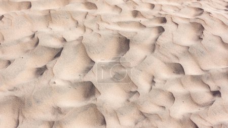 Plage sable gros plan détail de l'art du vent contours formes dans natures fine grain milieux d'art de la saison météo.
