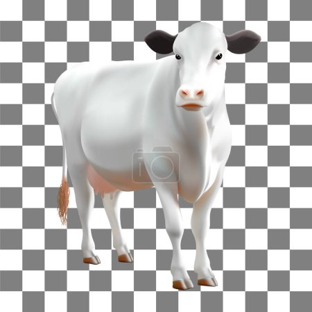 Téléchargez les illustrations : Vache blanche isolée sur fond transparent. Illustration vectorielle réaliste de la vache. - en licence libre de droit