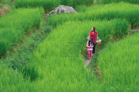Photo for Mom and daughter walking at Ban pa pong piang rice terraces of chiangmai - Royalty Free Image