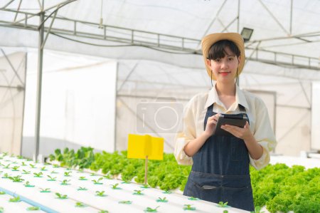Foto de Asian farmer woman working at salad farm,Female asia Growing vegetables for a wholesale business in the fresh market - Imagen libre de derechos
