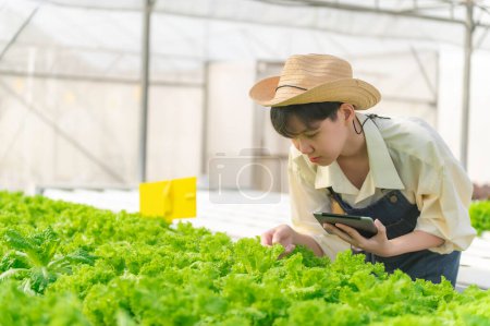 Foto de Asian farmer woman working at salad farm,Female asia Growing vegetables for a wholesale business in the fresh market - Imagen libre de derechos