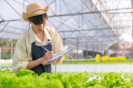 Téléchargez les photos : Asian farmer woman working at salad farm,Female asia Growing vegetables for a wholesale business in the fresh market - en image libre de droit