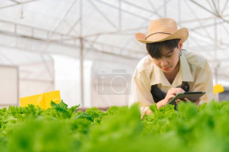 Téléchargez les photos : Femme agricultrice asiatique travaillant à la salade ferme, Asie féminine Cultiver des légumes pour une entreprise de gros sur le marché frais - en image libre de droit