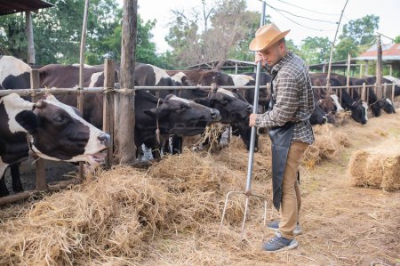 Foto de Agricultor asiático Trabaja en una granja lechera rural fuera de la ciudad, Jóvenes con vaca - Imagen libre de derechos