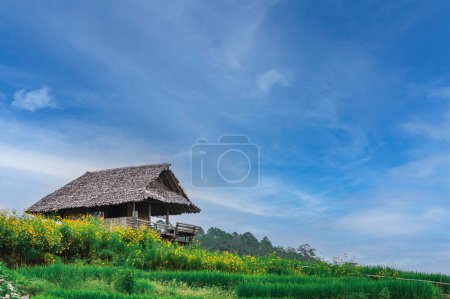 Photo for Bongpieng rice terrace on the mountain at chiengmai, The most beautiful rice terraces in Thailand - Royalty Free Image