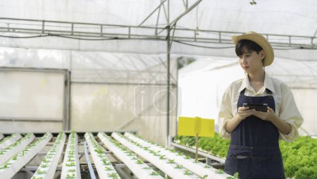 Foto de Mujer agricultora asiática que trabaja en una granja de ensaladas. Female asia Cultivar verduras para un negocio mayorista en el mercado fresco - Imagen libre de derechos