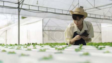 Foto de Mujer agricultora asiática que trabaja en una granja de ensaladas. Female asia Cultivar verduras para un negocio mayorista en el mercado fresco - Imagen libre de derechos