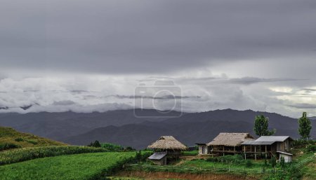 Téléchargez les photos : Terrasses de riz Bongpieng sur la montagne à chiengmai, les plus belles terrasses de riz en Thaïlande - en image libre de droit