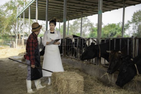 Foto de Los agricultores asiáticos trabajan en una granja lechera rural fuera de la ciudad. Jóvenes con vaca - Imagen libre de derechos