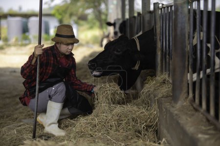 Téléchargez les photos : Un agriculteur asiatique travaille dans une ferme laitière rurale à l'extérieur de la ville. Jeune homme avec vache - en image libre de droit