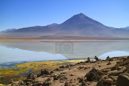 Foto de Laguna Blanca o El Lago Blanco en la Reserva Nacional Fauna Andina Eduardo Avaroa, Departamento de Potosí de Bolivia, América del Sur - Imagen libre de derechos
