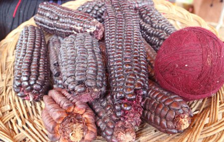 Foto de Bolas de hilo de lana de alpaca peruana púrpura borgoña profunda teñida de maíz púrpura, Chinchero Village, Andes, Región de Cusco, Perú, América del Sur - Imagen libre de derechos