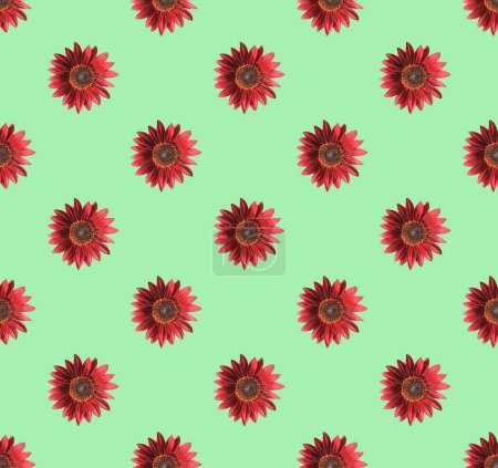 Téléchargez les photos : Modèle sans couture de tournesols rouges en fleurs sur fond vert clair - en image libre de droit
