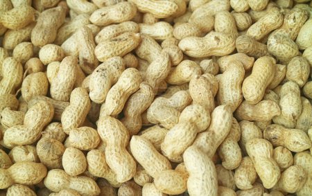 Photo for Heap of Dried Peanut for Sale in the Local Market or Souq of Manama, Bahrain - Royalty Free Image