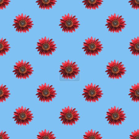 Téléchargez les photos : Modèle sans couture de tournesols rouges en fleurs sur fond bleu ciel - en image libre de droit