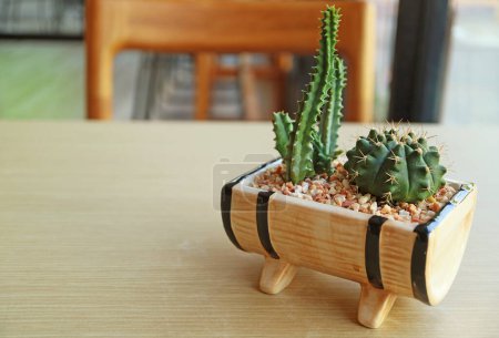 Foto de Mini castillo de hadas en maceta de cactus y cactus enano de la barbilla aislado en la mesa de madera - Imagen libre de derechos
