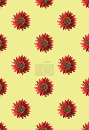 Téléchargez les photos : Modèle sans couture de tournesols rouges en fleurs sur fond jaune banane - en image libre de droit
