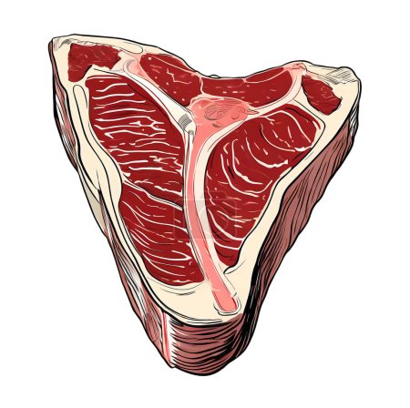 Illustration of a Cut of Raw T-bone Isolated on Transparent Background, PNG File