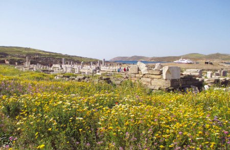 Champ de fleurs sauvages en fleurs sur le site archéologique de l'île de Delos, site du patrimoine mondial de l'UNESCO, Mykonos, Grèce