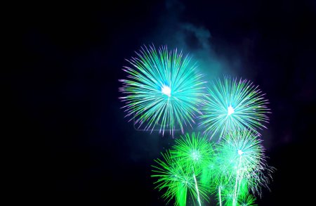 Stunning Vibrant blue and green fireworks exploding in to the night sky